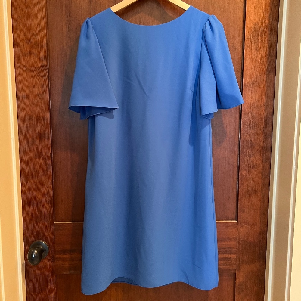 Gianni Bini Royal Blue Dress with Flutter Sleeves